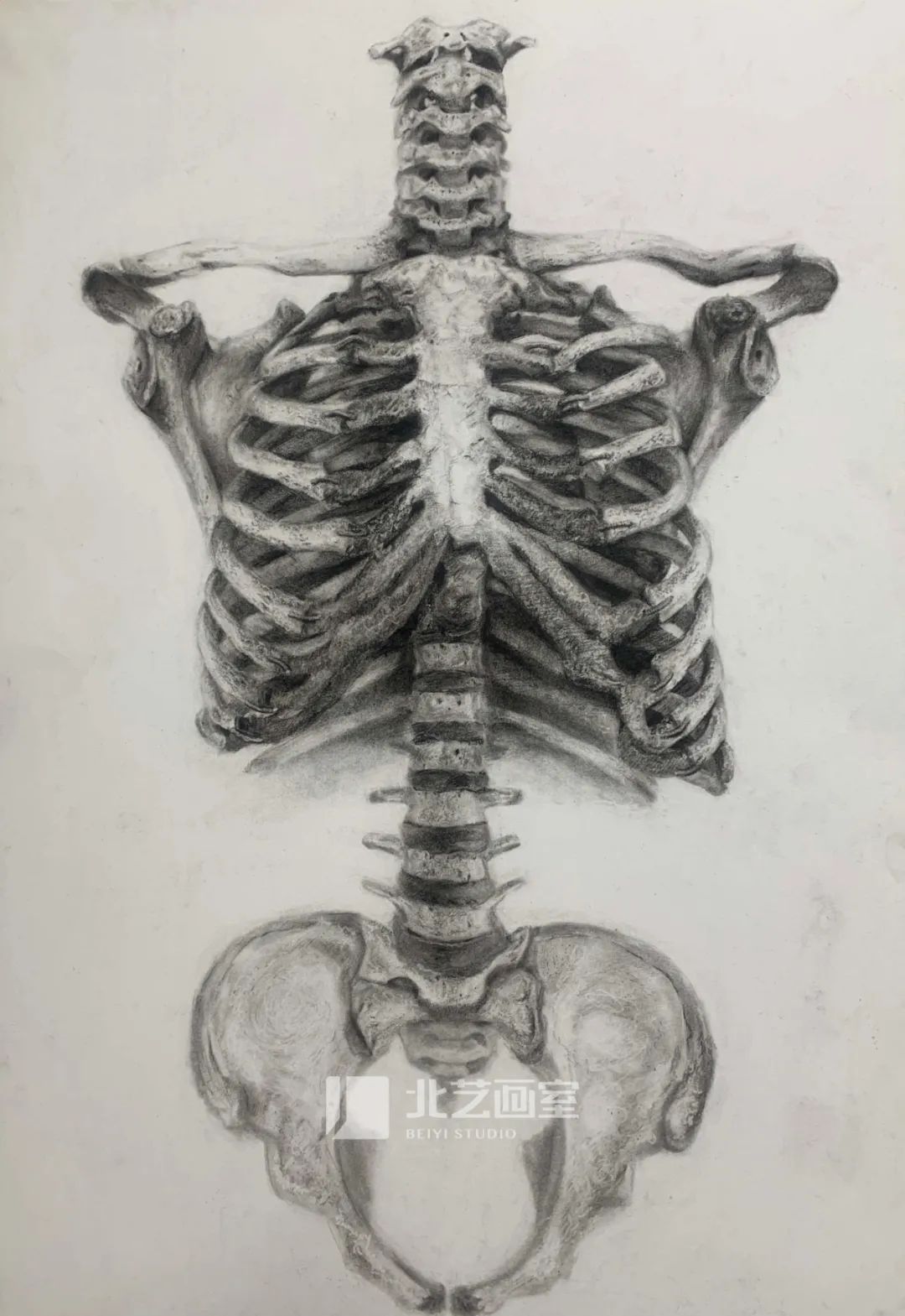 k8凯发(中国)天生赢家·一触即发最新素描作品