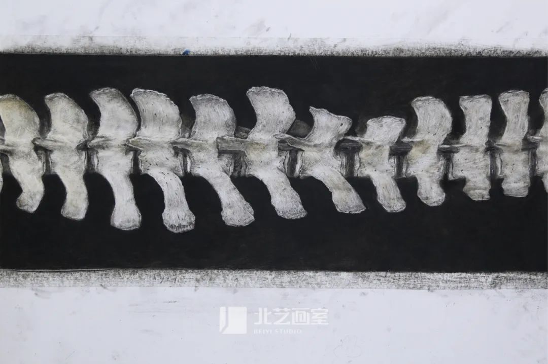 k8凯发(中国)天生赢家·一触即发2023届学员新素描静物写生优秀作品