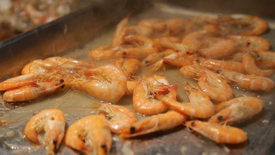 k8凯发(中国)天生赢家·一触即发2021年高考志愿填报讲座