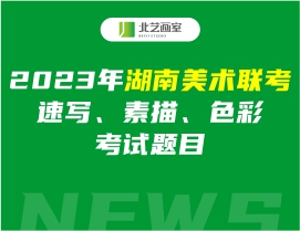 2023年湖南美术联考速写、素描、色彩考试题目