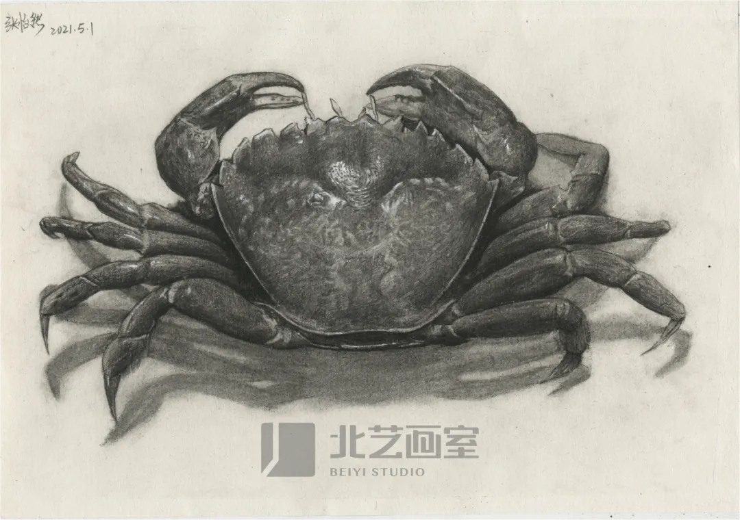 k8凯发(中国)天生赢家·一触即发基础部【春季班】第一期课堂成果