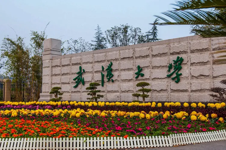 湖北美术生考得如何？最好录取大学要多少分？