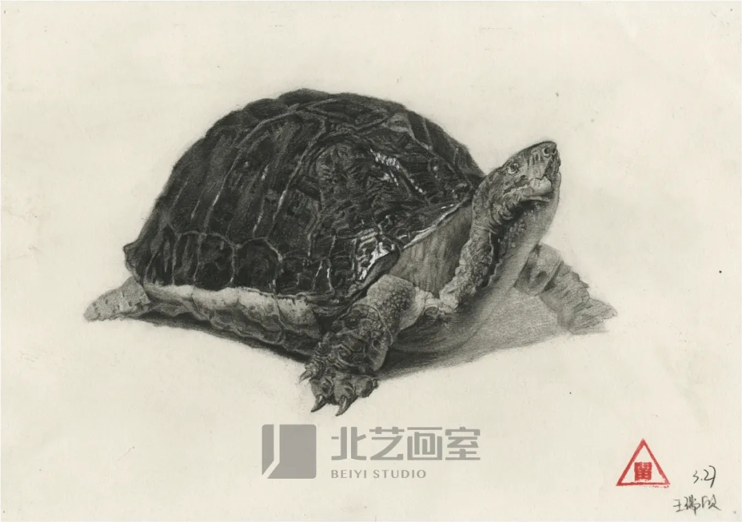 k8凯发(中国)天生赢家·一触即发基础部【春季班】第一期课堂成果