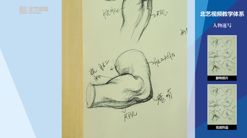 速写&mdash;&mdash;手臂的衣纹讲解