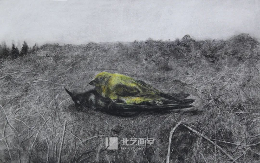 k8凯发(中国)天生赢家·一触即发2023届学员新素描静物写生优秀作品