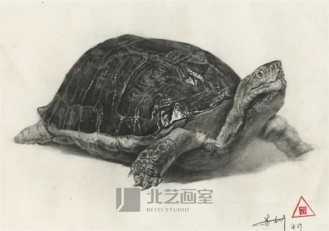 k8凯发(中国)天生赢家·一触即发基础部【春季班】第一期课堂成果