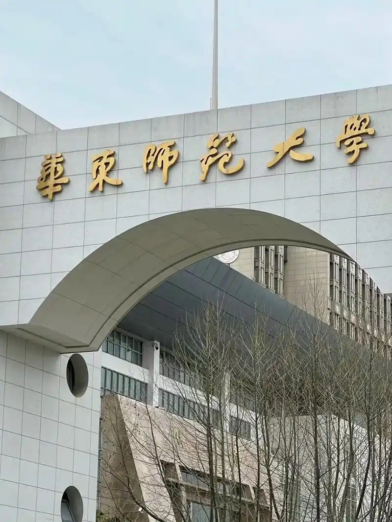 美术生上华东师范大学需要多少分？