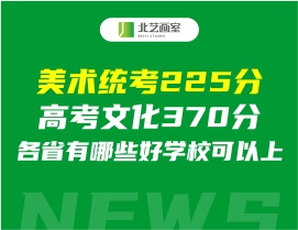 美术统考225分高考文化370分，各省有哪些好学？梢陨