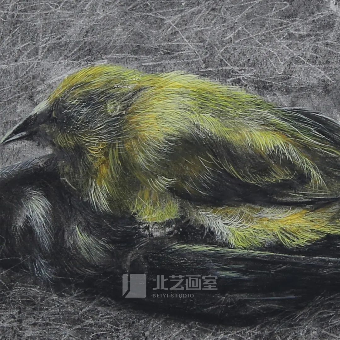 k8凯发(中国)天生赢家·一触即发2023届学员新素描静物写生优秀作品