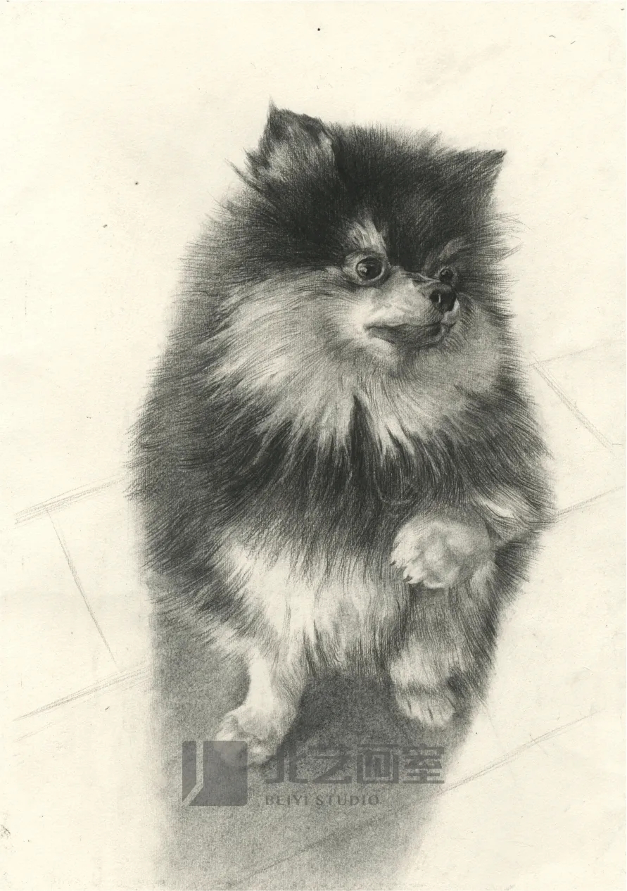 k8凯发(中国)天生赢家·一触即发基础部【春季班】第一期课堂成果