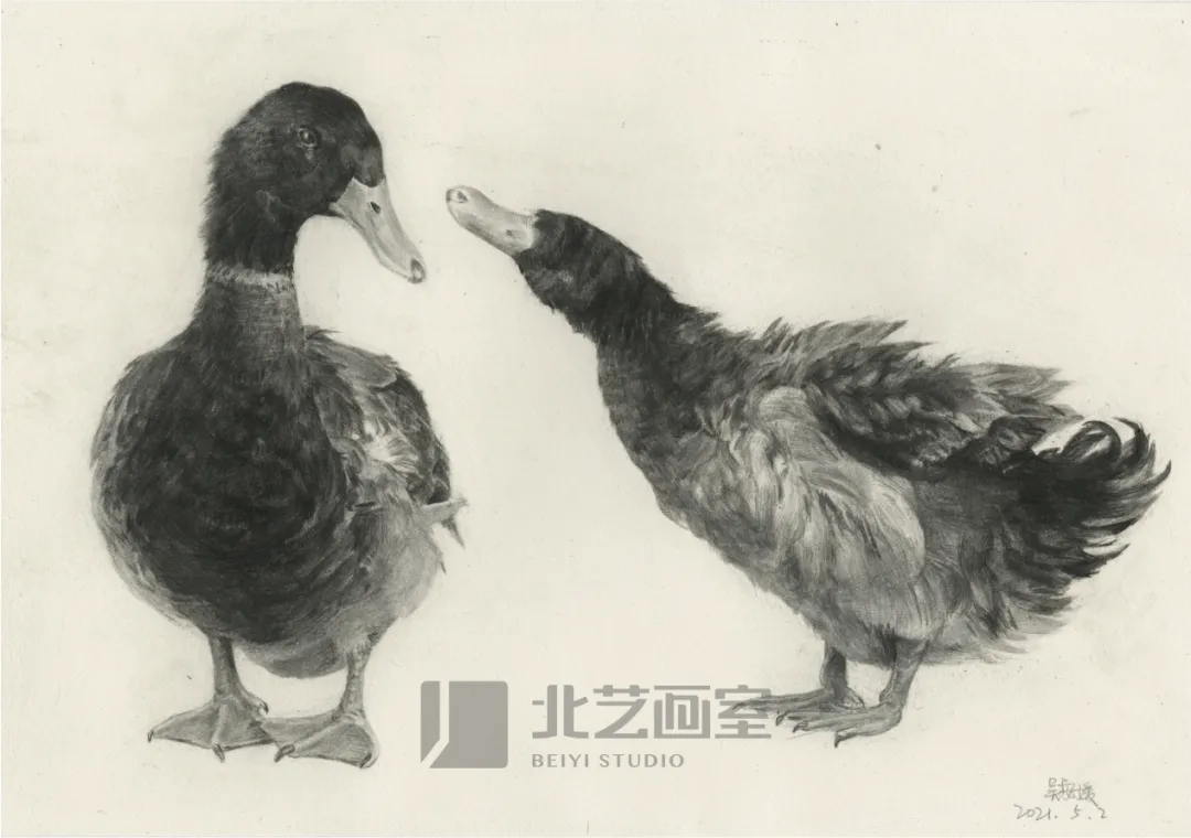 k8凯发(中国)天生赢家·一触即发基础部【春季班】第一期课堂成果