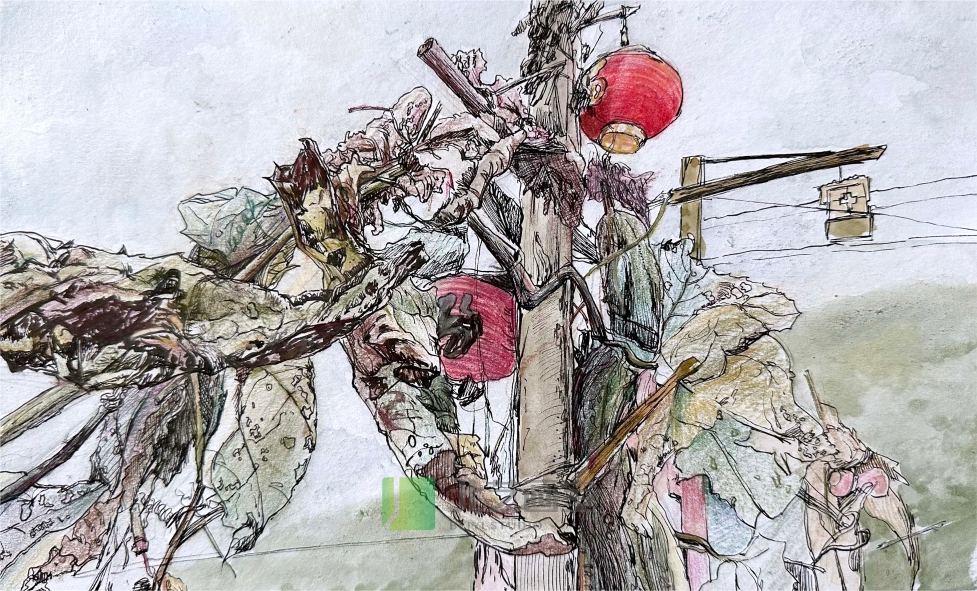 24年组织？嫉脑盒Ｃセ阕埽∶朗跎胧詹