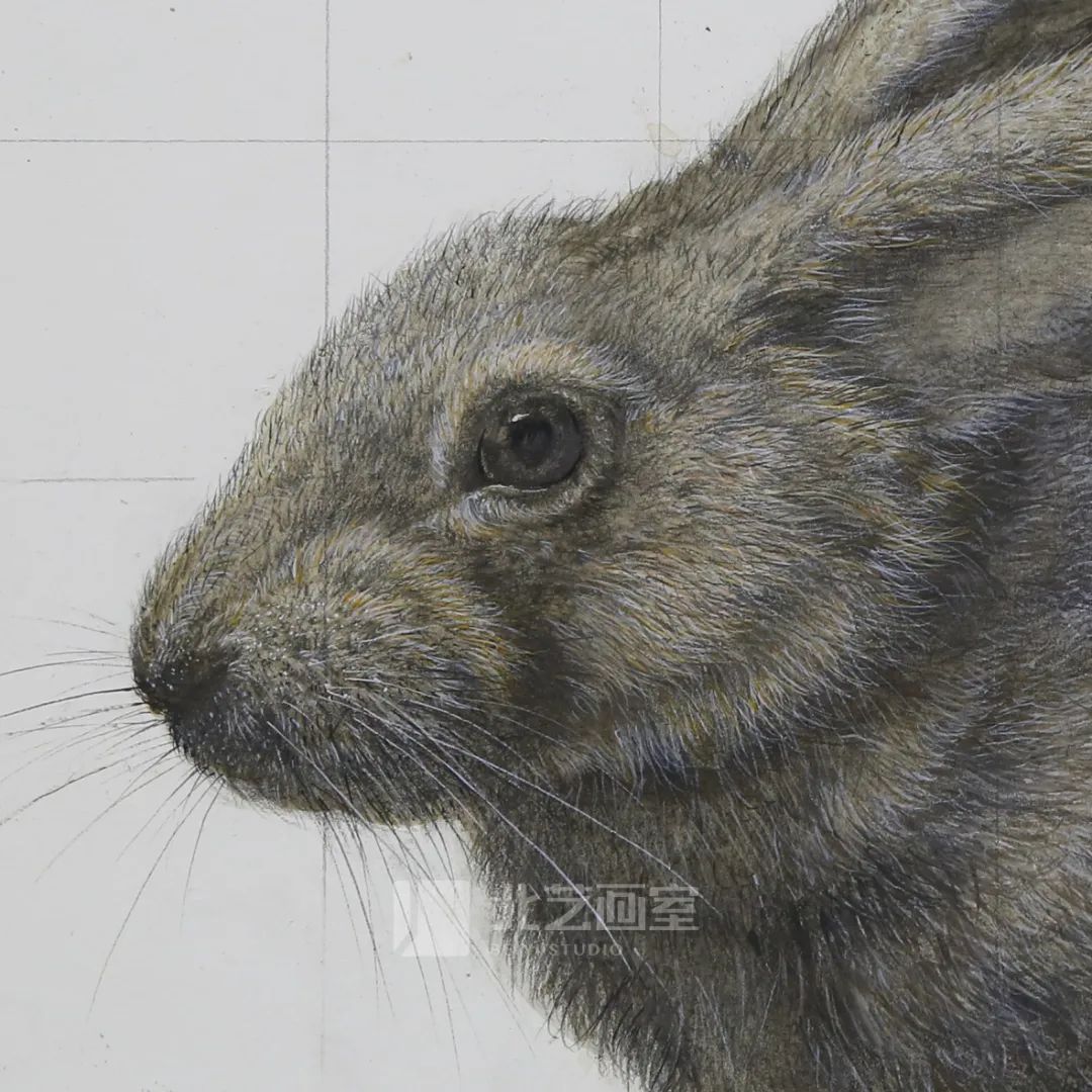 k8凯发(中国)天生赢家·一触即发2023届学员新素描静物写生优秀作品