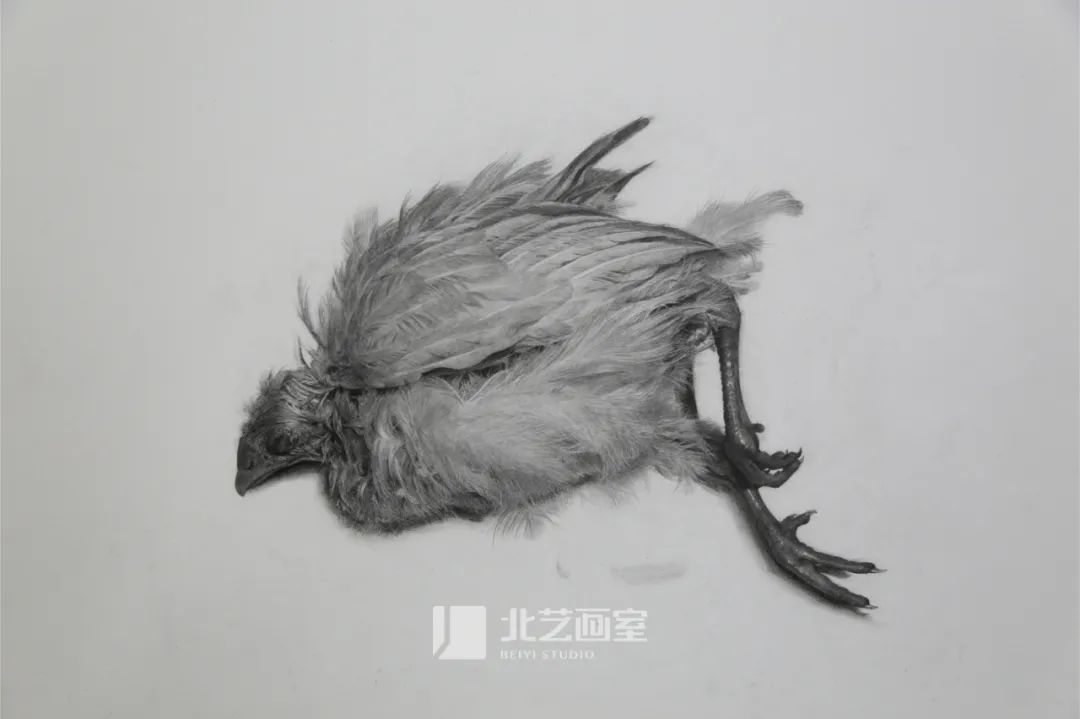 k8凯发(中国)天生赢家·一触即发2023届学员新素描静物写生优秀作品