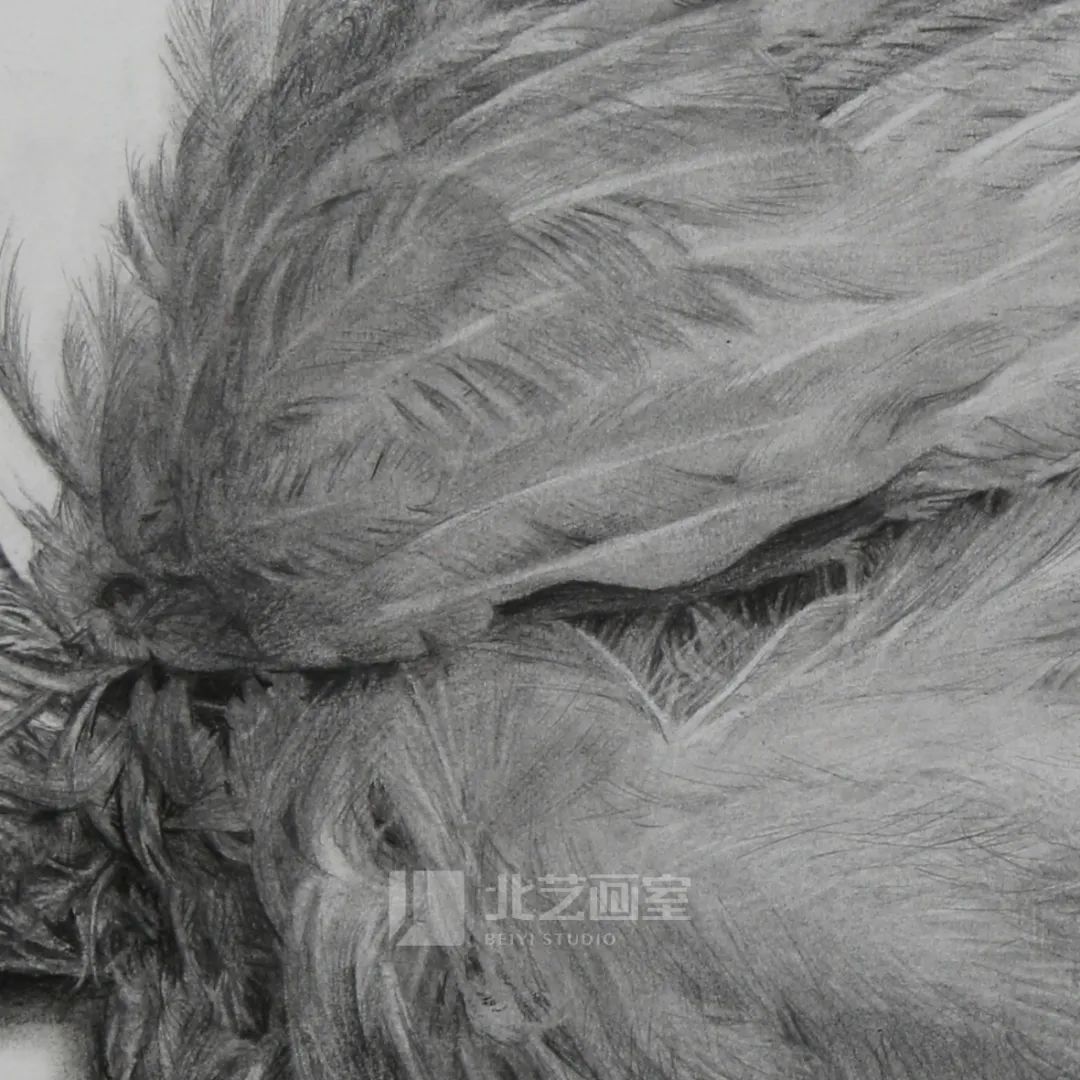 k8凯发(中国)天生赢家·一触即发2023届学员新素描静物写生优秀作品