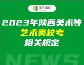 2023年陕西美术等艺术类？枷喙毓娑