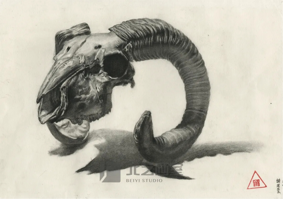 k8凯发(中国)天生赢家·一触即发基础部【春季班】第一期课堂成果